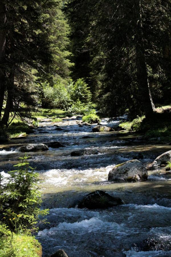 Bergnest Oetztal - Appartements Umhausen Exteriér fotografie
